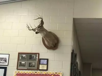 졸업 앞둔 애들 장난인데…고교서 3학년 절반 정학 논란