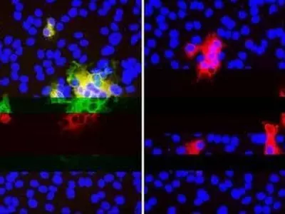 코로나19 혈장 치료, 첫 증상 후 60일 지나면 효과 없다