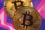 비트코인 호황에 가상화폐 사기 10배 급증