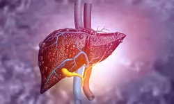 비알코올성 지방간 어떻게 탈출할까?