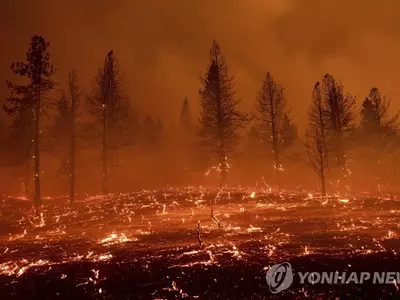 바다생물 떼죽음·소방관 순직…북미 서부 폭염·산불에 고통