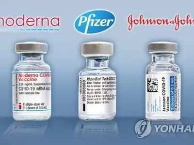 미국서 코로나 사망자 재급증 경고