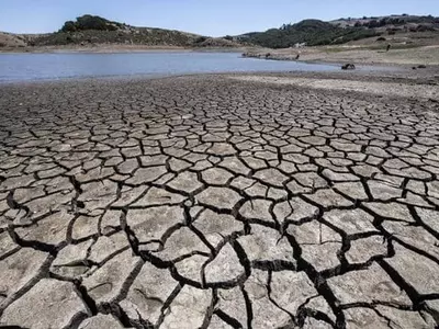 기후변화로 농축산물 피해…식탁마저 위협