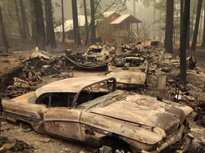 폭염·가뭄·산불…‘이상기후 삼중고’