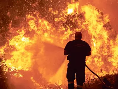 화마 휩싸인 그리스 에비아섬 “재난영화 방불”