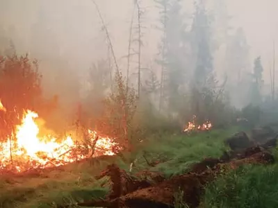 시베리아 산불 연기, 북극권도 뒤덮었다