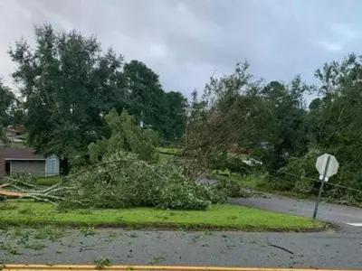 프레드, 조지아 강타 수 천가구 정전 피해