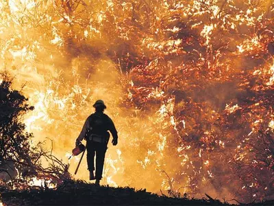산불·가뭄·폭염·홍수… 지구촌 `몸살’