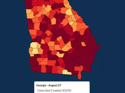 조지아 코로나19 확진자 지난 겨울 정점에 근접
