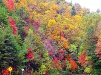 조지아에서 울긋불긋 가을색 즐기기