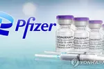 화이자 "코로나19 백신, 5~11세에도 안전하고 효과 높아"