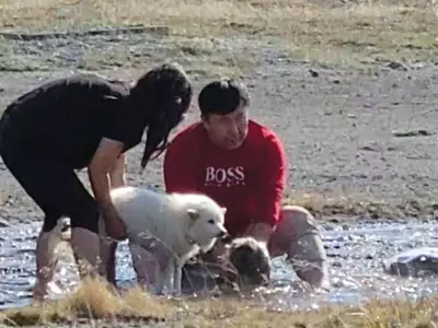 옐로스톤 간헐천에서 개를 씻기다니…