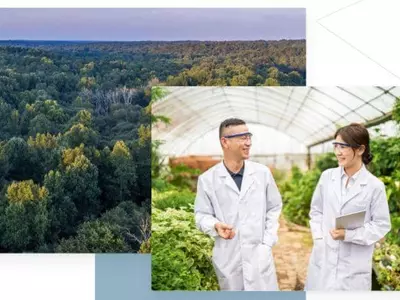 귀넷, 로웬 프로젝트 연구·기술 허브 조성