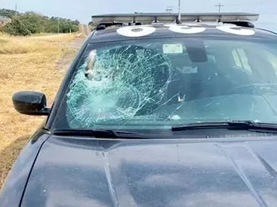 독수리와 충돌한 순찰차 앞유리 박살나며 ‘아찔’