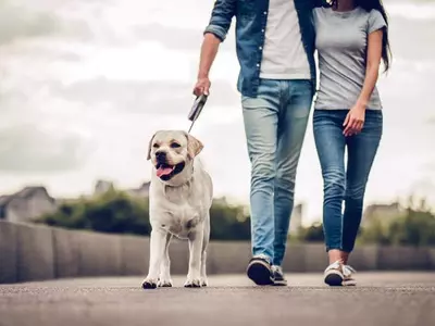 걷기 좋은 계절… 하루 7000보 이상 걷기가‘불로초’