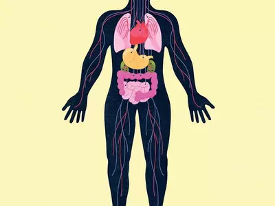 우울증과 불안이 신체에 미치는 파괴적인 영향
