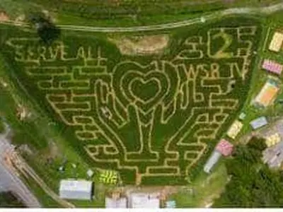 뷰포드 콘 메이즈, 미국 상위 랭킹