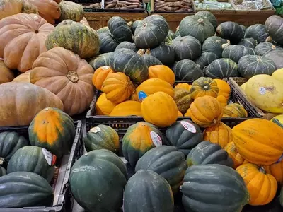 [한인마트 정보] "가을 주말 나들이 대세일"