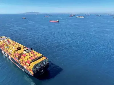 한국산 도착에 6개월…연말대목 발만 동동