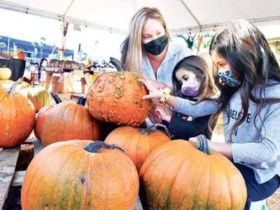 주말 핼로윈… ‘트릿 오어 트릿’은 마스크 쓰고