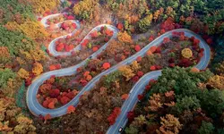 가을빛으로 물든 굽이진 길
