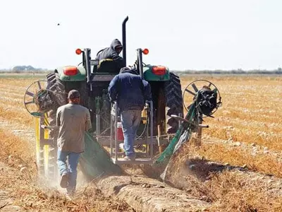 가주 농가, 물류대란에 수출 막혀 ‘발동동’