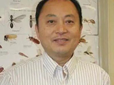 [벌레박사 칼럼] 우리집 ,터마이트 맹공격 시작! (Termite Control) (터마이트 퇴치 해충 소독 방역)