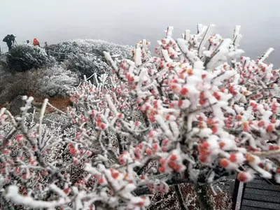 첫 눈 내린 한라산
