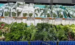 [한인마트 정보] "추수감사절 맞이 세일"