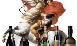 나폴레옹의 마지막 숨에 터져나온 샹베르탱