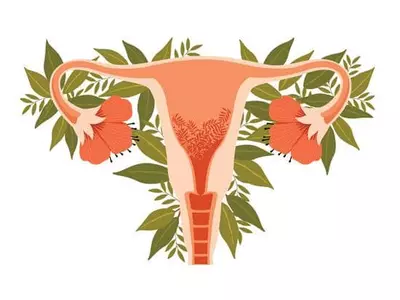 자궁경부암 줄지만, 자궁내막암ㆍ난소암 갈수록 늘어