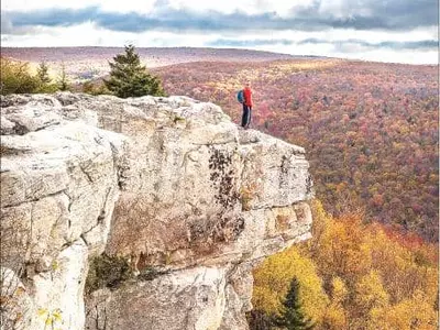1만2천달러 받고 웨스트버지니아로 이사 갈까