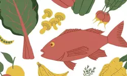 건강 위해 특정 음식 찾는 것보다 평소 식습관이 중요