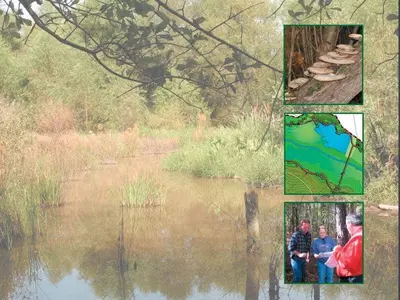 파라곤몰 인근 68에이커 공원 조성