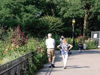 활발한 신체 활동이 뇌의 노화를 늦출 수 있다