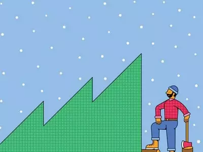 수급문제로 올 크리스마스 트리 가격 크게 올라