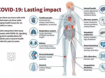 코로나19 가볍게 앓는 사람은 무엇이 다를까