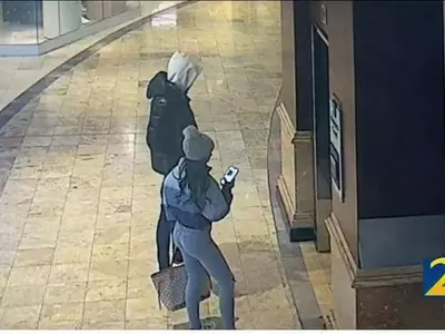 애틀랜타 남성 스파이더맨 영화 보다가 총 맞아