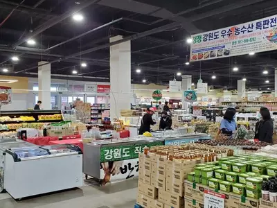 청정 강원도 농수산 연말연시 특판전