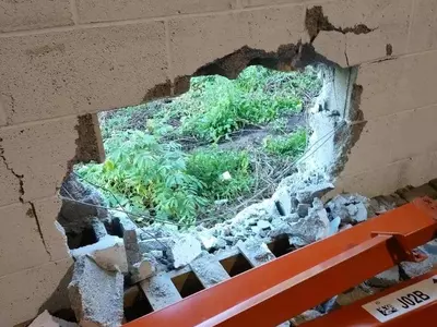 창고 벽 뚫고 선물 훔쳐가