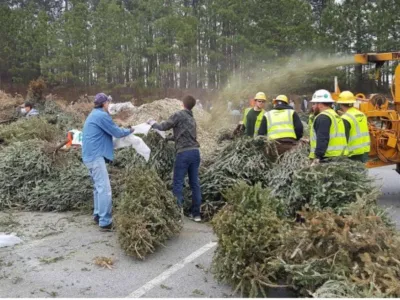 생나무 크리스마스 트리 재활용