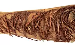 첨단 기술로 밝혀낸 파라오 미라의 비밀