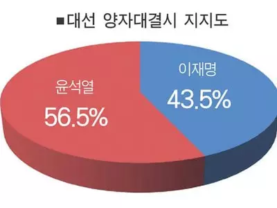 [본보 ‘20대 한국대선 미주한인 설문조사] 다자대결시 윤석열 39·이재명 30·안철수 8% 지지