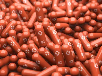 먹는 코로나19 치료제 조지아 약국 판매