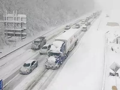 폭설로 80㎞ 정체…마비된 동부고속도로서 밤샘