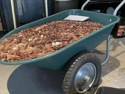 밀린 월급 요구했더니 9만개 '동전테러'… 노동부가 업주 제소