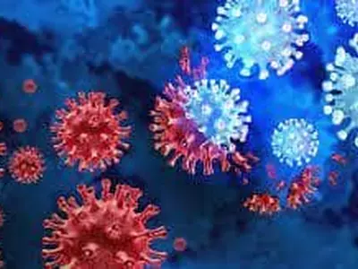 이젠 잡종 변이까지…‘델타크론’ 발견