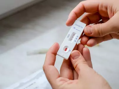 코로나 자가검사 키트 무료 나눔 행사