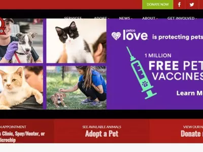 둘루스 반려동물 클리닉 저렴한 의료 서비스 제공