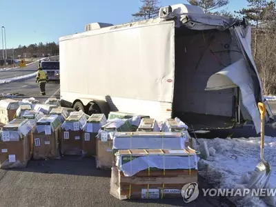 백신 실험용 원숭이들, 고속도로서 교통사고 틈타 탈출